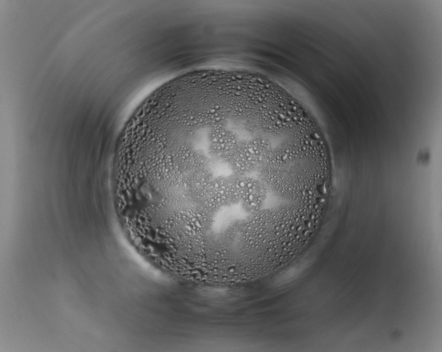 X0000113330855200909141425
