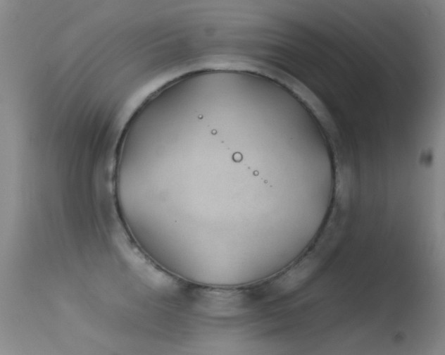 X0000113330856200909141425