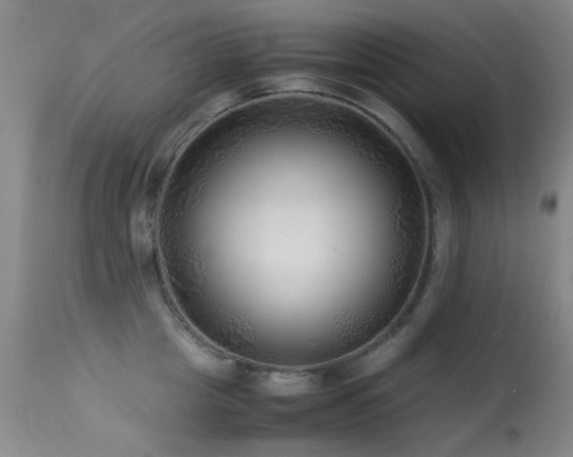 X0000113330857200909141425