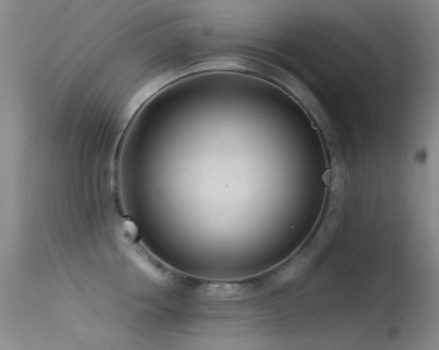X0000113330858200909141425