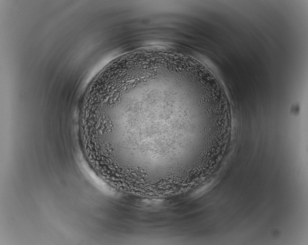 X0000113330859200909141425