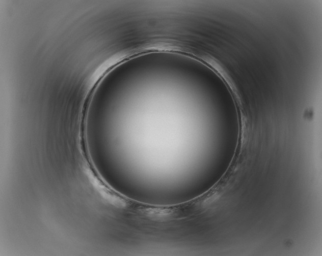 X0000113330861200909141425