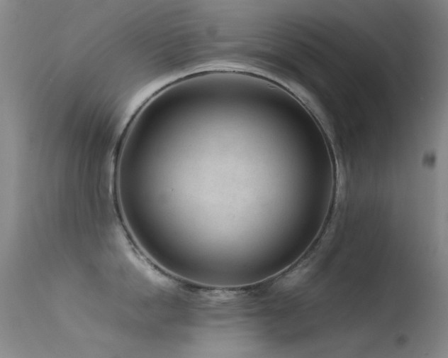 X0000113330862200909141425