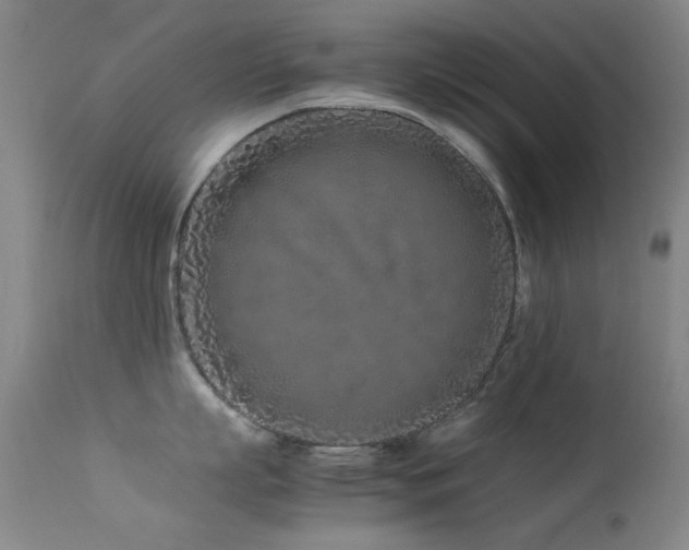 X0000113330863200909141425