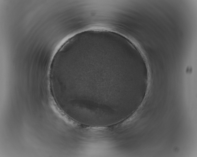 X0000113330864200909141425