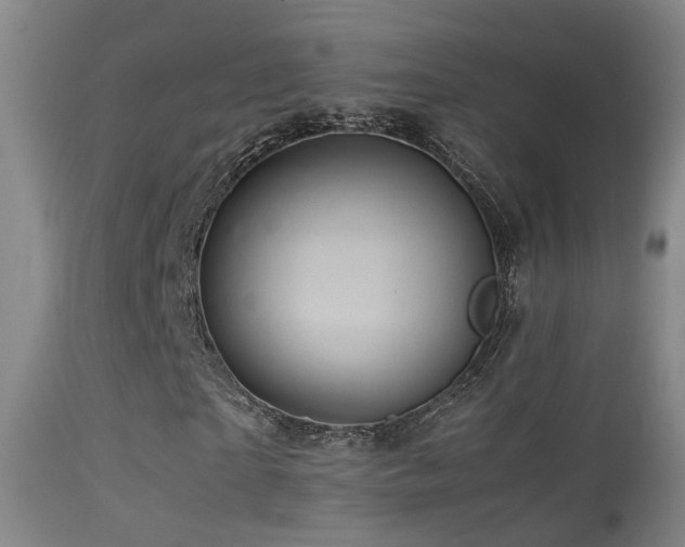 X0000113330865200909141424