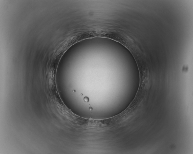 X0000113330866200909141424