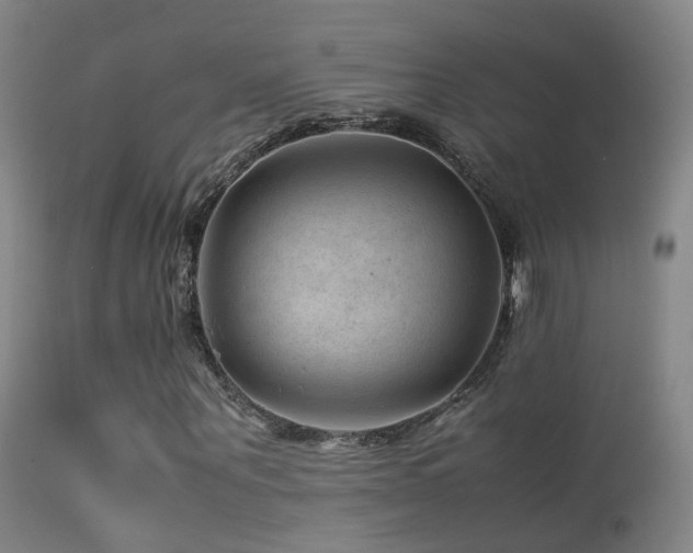 X0000113330867200909141424