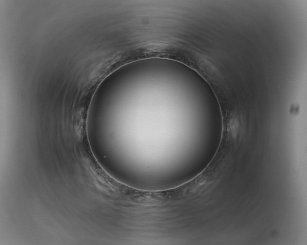 X0000113330868200909141424