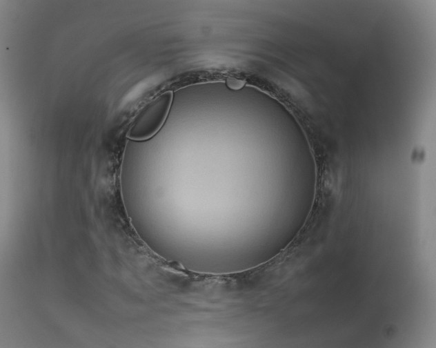 X0000113330869200909141424