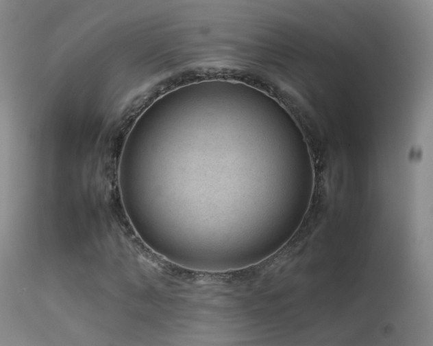 X0000113330870200909141424