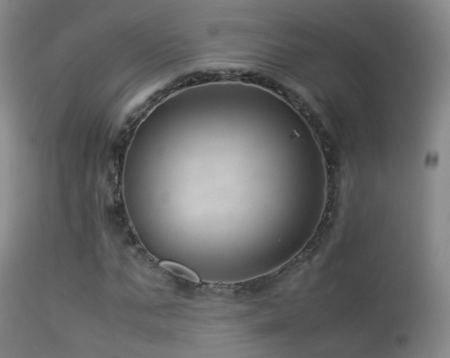 X0000113330871200909141424