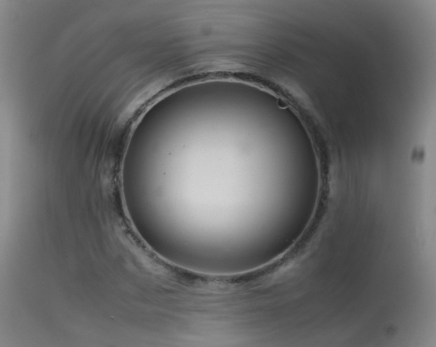 X0000113330873200909141424