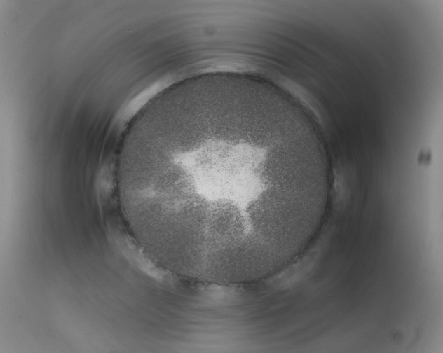 X0000113330874200909141424