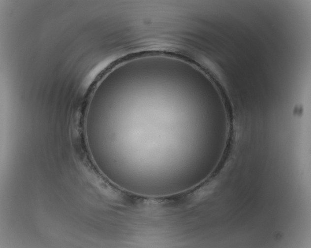 X0000113330875200909141424