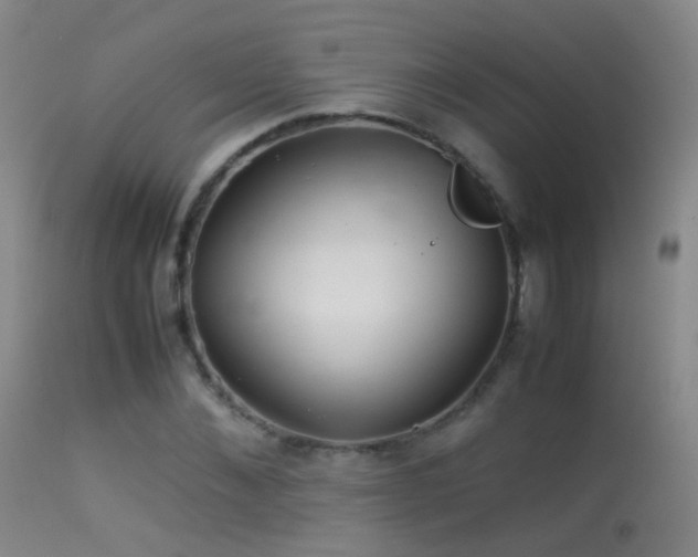 X0000113330876200909141424