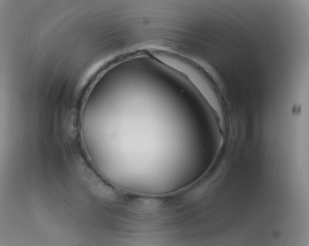 X0000113330878200909141424