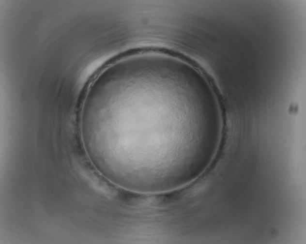 X0000113330879200909141424