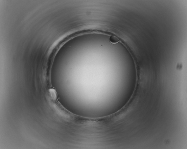 X0000113330880200909141424