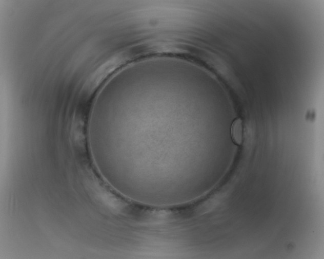 X0000113330881200909141424