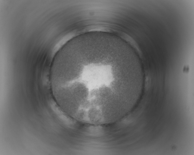 X0000113330882200909141424