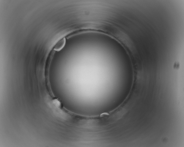 X0000113330884200909141424