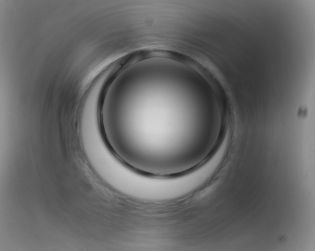 X0000113330885200909141424
