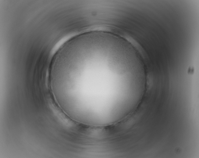X0000113330886200909141424