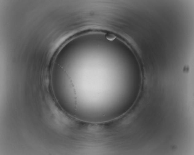 X0000113330887200909141424