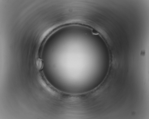 X0000113330888200909141424