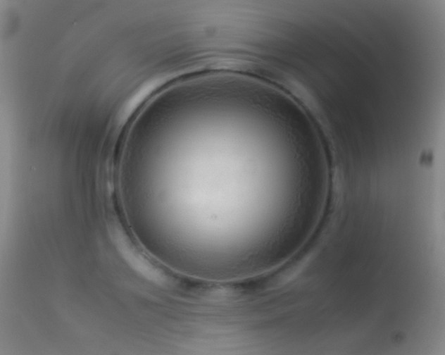 X0000113330891200909141424