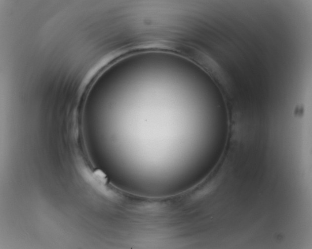 X0000113330892200909141424