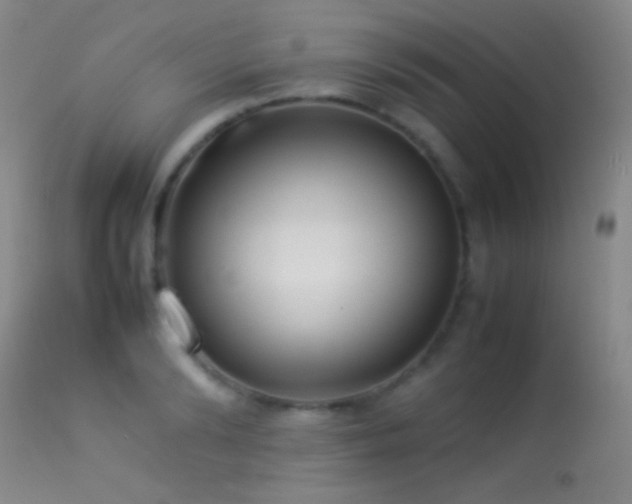 X0000113330894200909141424