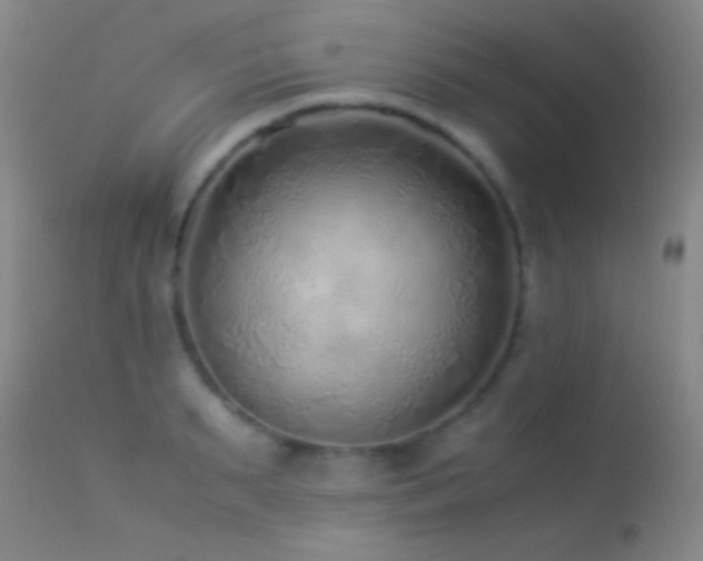 X0000113330895200909141424