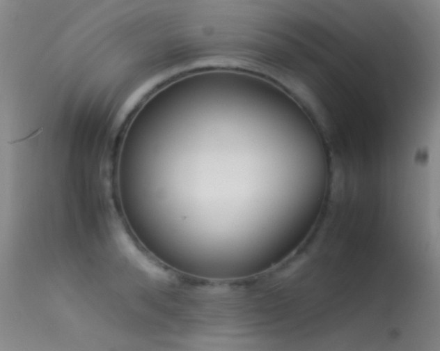 X0000113330896200909141424