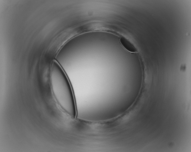 X0000113330897200909141424