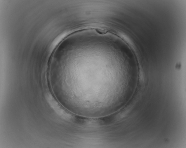 X0000113330899200909141424