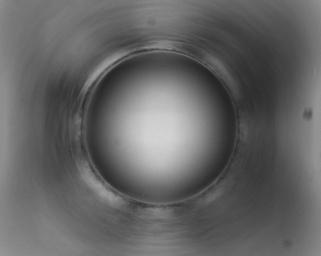 X0000113330900200909141424