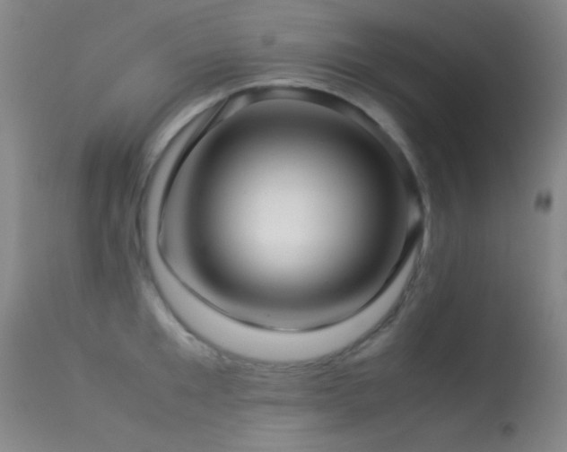 X0000113330901200909141424