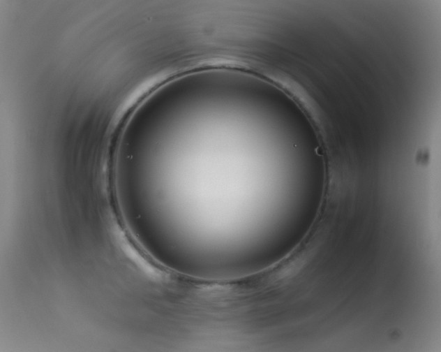 X0000113330902200909141424