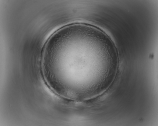 X0000113330903200909141424