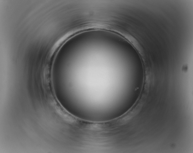X0000113330904200909141424