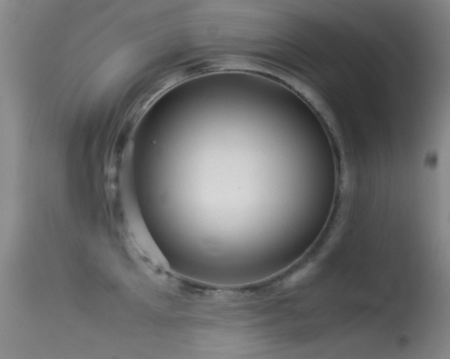 X0000113330905200909141424