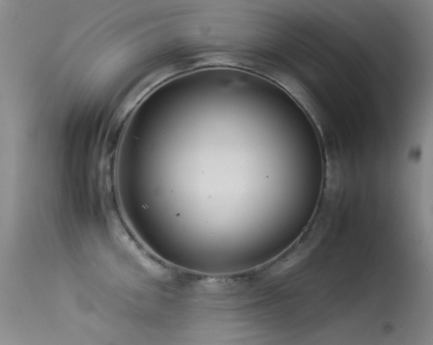 X0000113330906200909141424