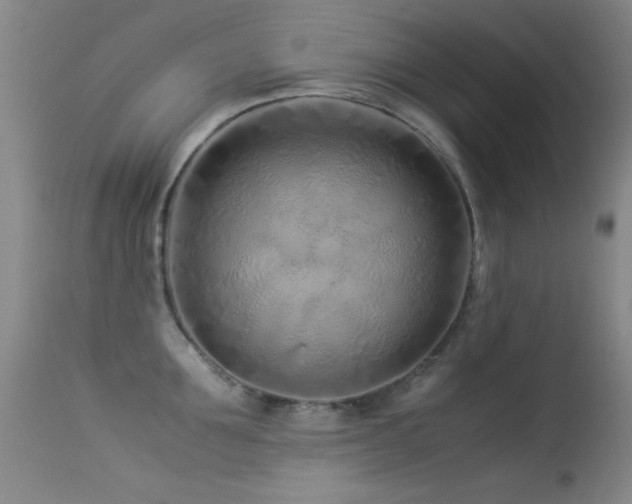 X0000113330907200909141424