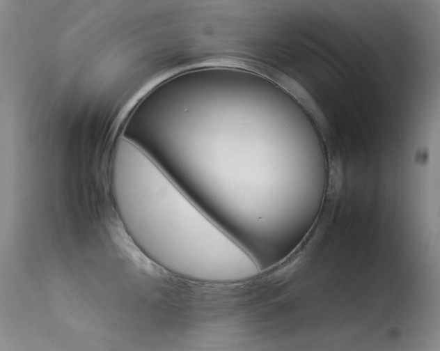 X0000113330908200909141424