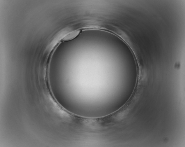 X0000113330909200909141424