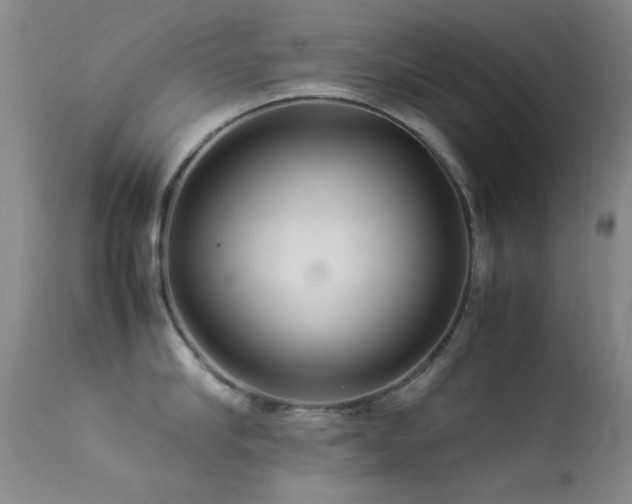X0000113330910200909141424