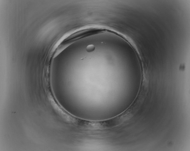 X0000113330911200909141424