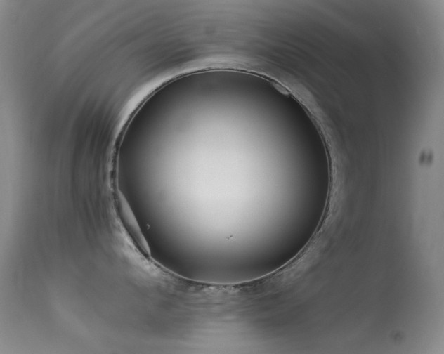 X0000113330912200909141424